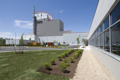 Projects-Royal-Canin-2
